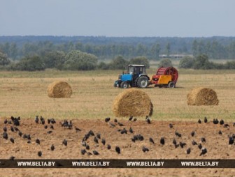 В Гродненском районе завершается уборка зерновых