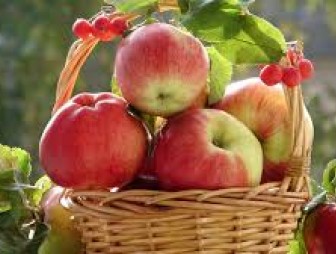 19 августа - яблочный спас. Его традиции