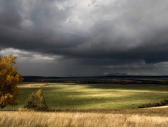 Дожди с грозами ожидаются по востоку Беларуси 28 августа
