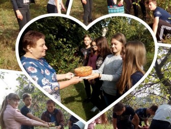 Волонтёры Мостовщины помогают убирать яблоки и угощают пирогами