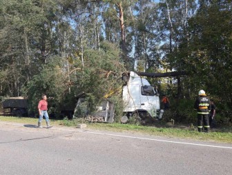 В Дятловском районе водитель уснул за рулем. Фура врезалась в дерево