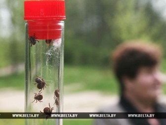 В Беларуси наблюдается второй пик активности клещей