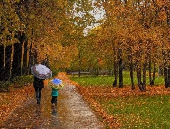 Дожди и до +26°С - о погоде в Беларуси 22 сентября