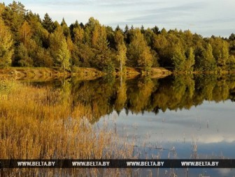 В Беларуси на неделе будет прохладная погода с дождями, к выходным потеплеет