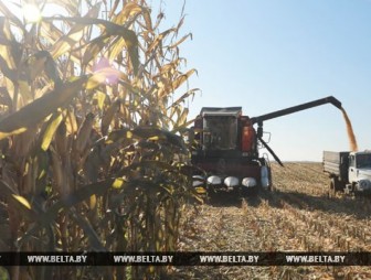 Лукашенко установил аграриям дедлайн на 7 ноября для завершения осенних работ