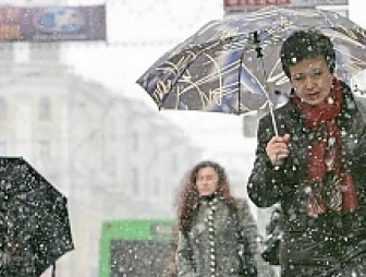 Дожди с мокрым снегом ожидаются по северу Беларуси 27 октября