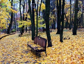 До +13°С ожидается в Беларуси 7 ноября