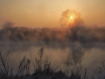 Туман и до +13°С будет в Беларуси 8 ноября