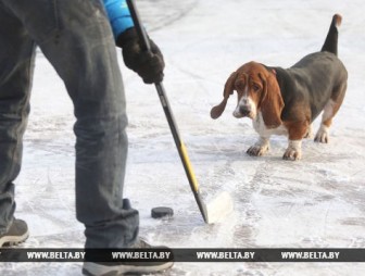 Снег и гололедица ожидаются в Беларуси 19 ноября
