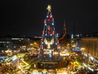 В Германии установили самую большую в мире рождественскую елку