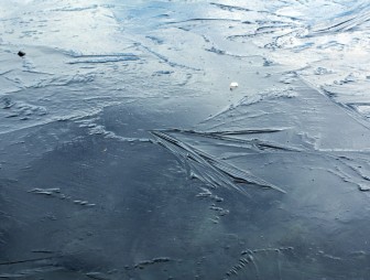 Три девочки разгуливали по тонкому льду на Щучинском озере