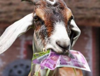 В Сербии коза вероломно съела хозяйские 20 тысяч евро. Ее с горя зажарили