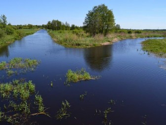Проект «Гродненщина синеокая». Река Молчадь: лечебный «Радон», невероятные пейзажи и история белорусского «Артека»