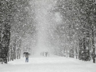 Сильный снег ожидается по западу Беларуси 16 декабря