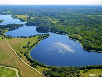 Сорочанские озера: древние легенды, невероятные щука и жерех и Свояк. Новая часть проекта 'ГП'