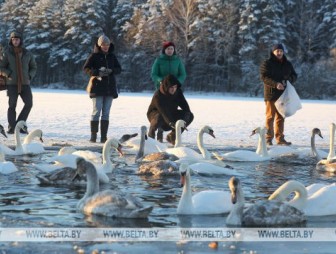 Снег и до -11°С ожидаются в Беларуси 5 января