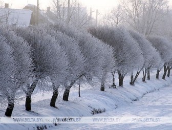 До 18 градусов мороза и гололедица будут в Беларуси 8 января