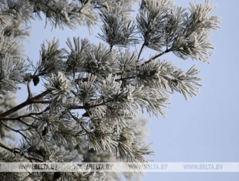 До -12°С ожидается в Беларуси 20 января