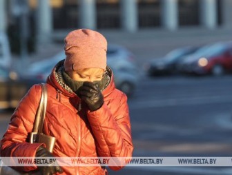 До 13 градусов мороза ожидается в Беларуси 21 января