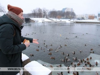 Морозная погода будет в Беларуси на этой неделе
