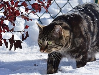 Снег и гололедица в Беларуси 6 февраля