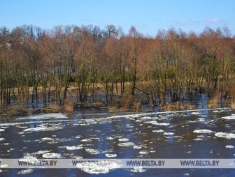 До +10°С ожидается по западу Беларуси 19 февраля