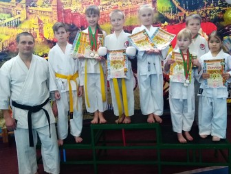 Мостовские каратисты приняли участие в турнире по шотокан каратэ-до «Кубок защитников Отечества»