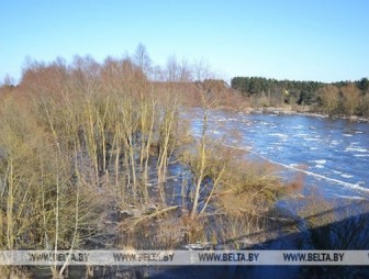 Оранжевый уровень опасности объявлен в Беларуси 8 марта из-за сильного ветра