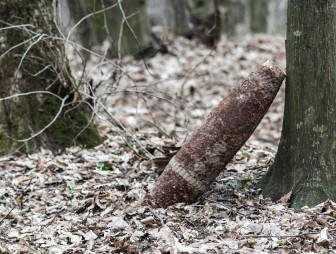 В лесах Гродненской области найдены снаряды