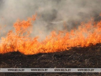 В Гродненском районе при выжигании сухой травы погиб мужчина