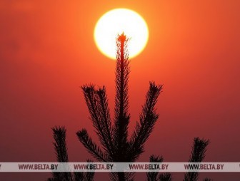 Порывистый ветер и до +11°С ожидается в Беларуси 13 апреля