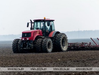 В Беларуси осталось посеять менее 10% ранних яровых