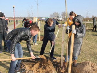 Парк семейных деревьев заложат в Гродно