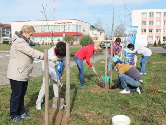 Активистки женсовета приняли участие в озеленении города Мосты