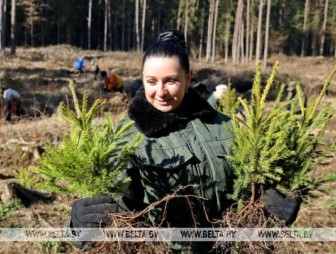 Более 29 млн деревьев посадили белорусы во время Недели леса