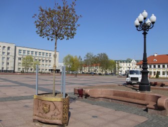 «Мобильные» деревья появились в Гродно. Первые деревья в кадках украсили областной центр