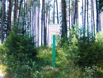 В Мостовском районе с 24 апреля введён запрет на посещение лесов