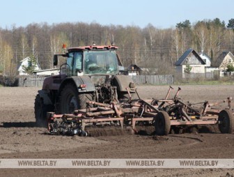 Сев кукурузы в Беларуси проведен почти на половине площадей