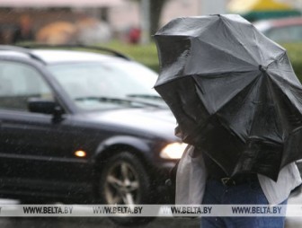 Дожди и грозы прогнозируют в Беларуси 10 мая