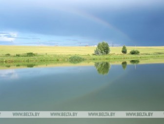 В Беларуси на неделе будет теплая погода с дождями, к выходным похолодает