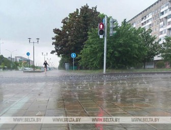 Дожди, грозы и порывистый ветер ожидаются в Беларуси 30 мая