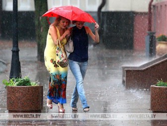 Дожди и грозы ожидаются в Беларуси 9 июня