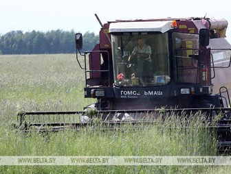 Как сельское хозяйство Беларуси справляется с последствиями жары – Лукашенко заслушал доклады профильных чиновников