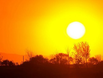 Метеорологи назвали лето 2019 года самым жарким