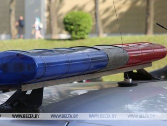 В Минске мать ударила 8-летнюю дочь молотком по голове