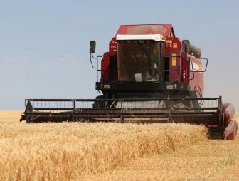 Белорусские аграрии намолотили более 1,5 миллиона тонн зерна