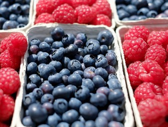 Диетологи назвали топ-3 летних ягод для похудения