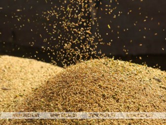 Аграрии планируют завершить уборку зерновых в течение 10-12 дней
