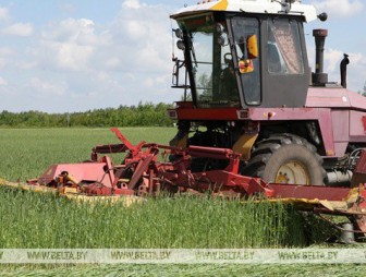 Около 80% трав вторым укосом убрано в Беларуси