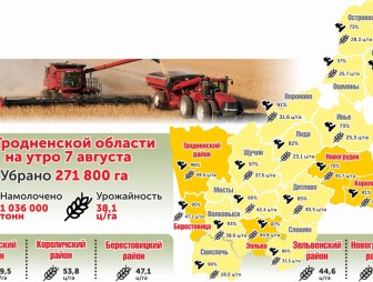 На Гродненщине зерновые убраны на 272 000 га
